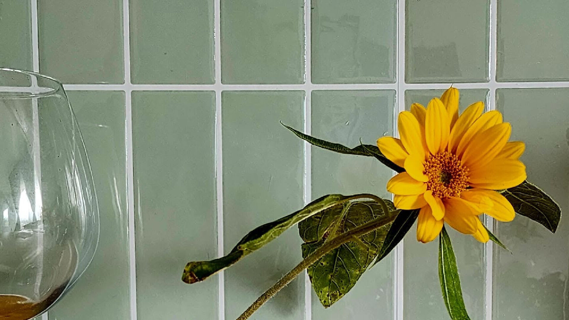 Yellow sunflower leaning from a glass jar, with the quote, “True beauty lingers in the simplest of frames.”