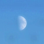 A faint daytime moon in a blue sky with an eagle flying across the frame.