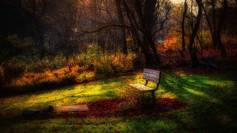 Autumn landscape showcasing vibrant fall colours symbolizing seasonal change.