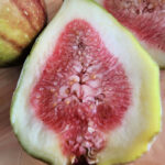 Close-up of a freshly cut fig revealing its pink interior and seeds.