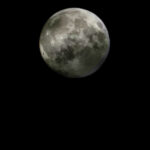 A full moon centered in a dark night sky with visible surface details.