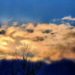 Iridescent sunrise clouds glowing with soft rainbow colors behind a bare winter tree silhouette.