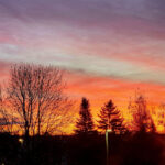 Vivid orange and pink sunset sky with silhouetted trees and houses along the horizon