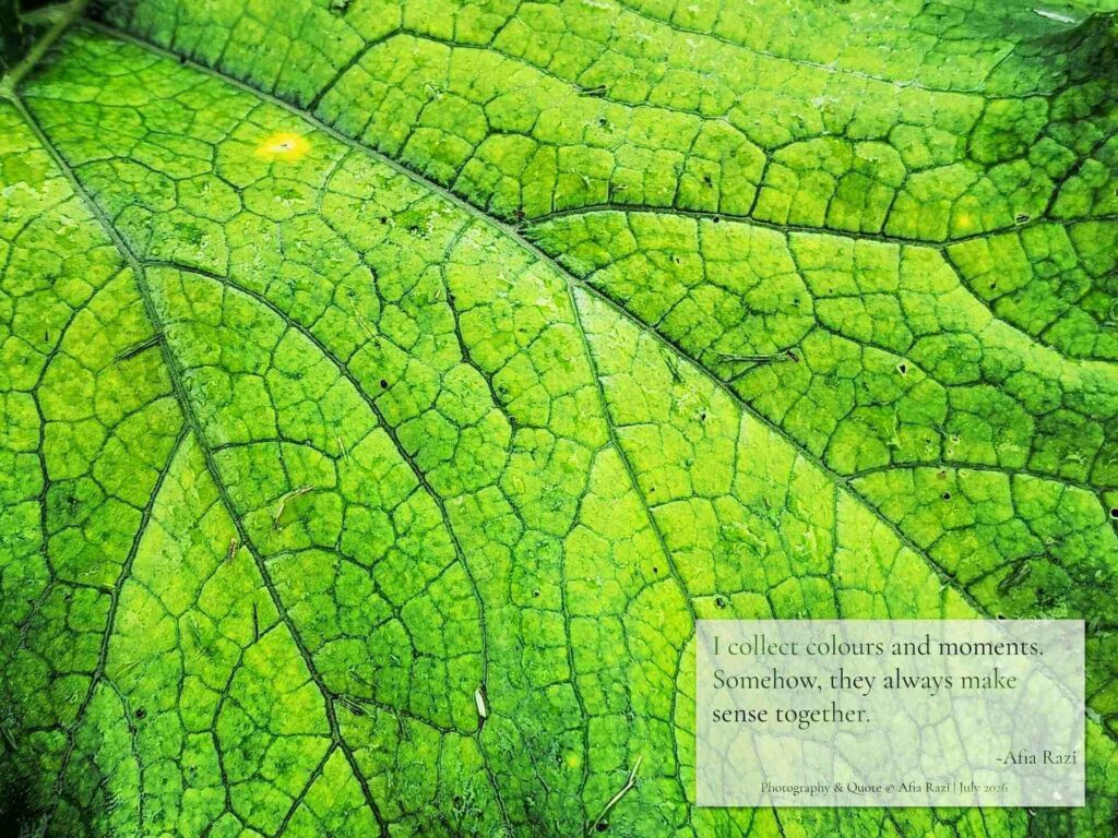 Close-up of a green leaf with intricate veins and the quote, “I collect colours and moments. Somehow, they always make sense together.”
